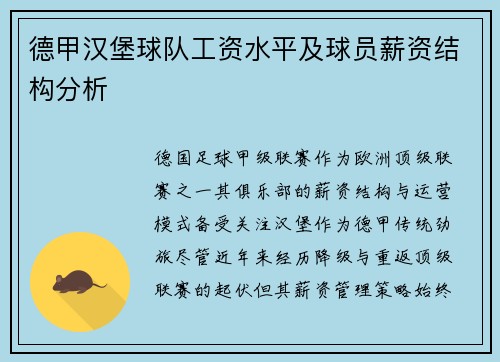 德甲汉堡球队工资水平及球员薪资结构分析